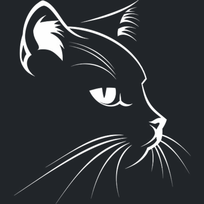 chat